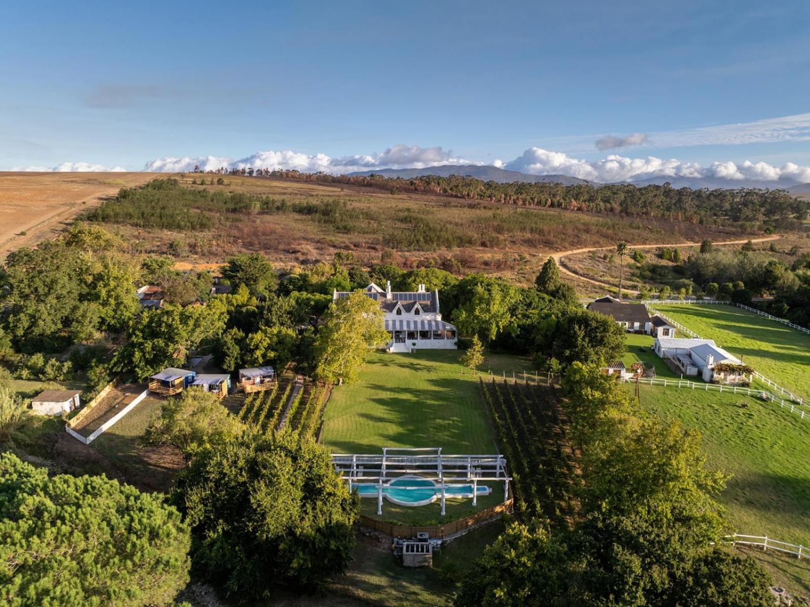 Caledon Grace Guesthouse Bagian luar foto